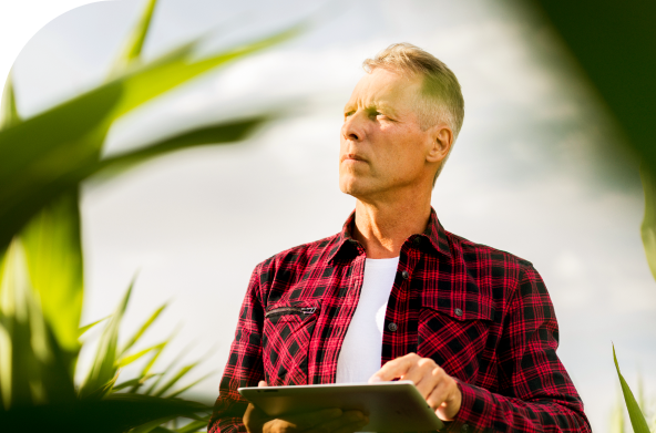 Conheça o <br/> Crédito Sob Medida