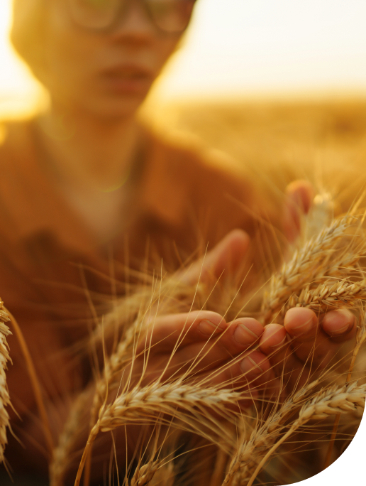 Crédito acessível para a sua <br/> Revenda financiar todo o ciclo<br/> do comercialização de insumos