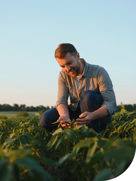 Acessar crédito para planejar e<br/> potencializar suas vendas agora<br/> é uma realidade para o seu negócio